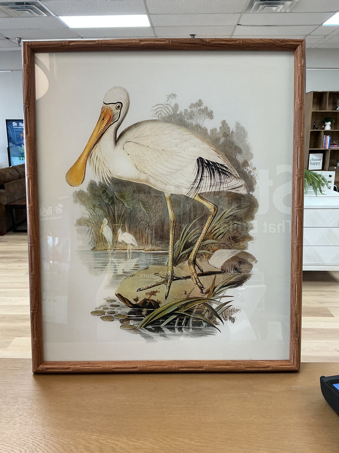 Yellow-Legged Spoonbill Print
