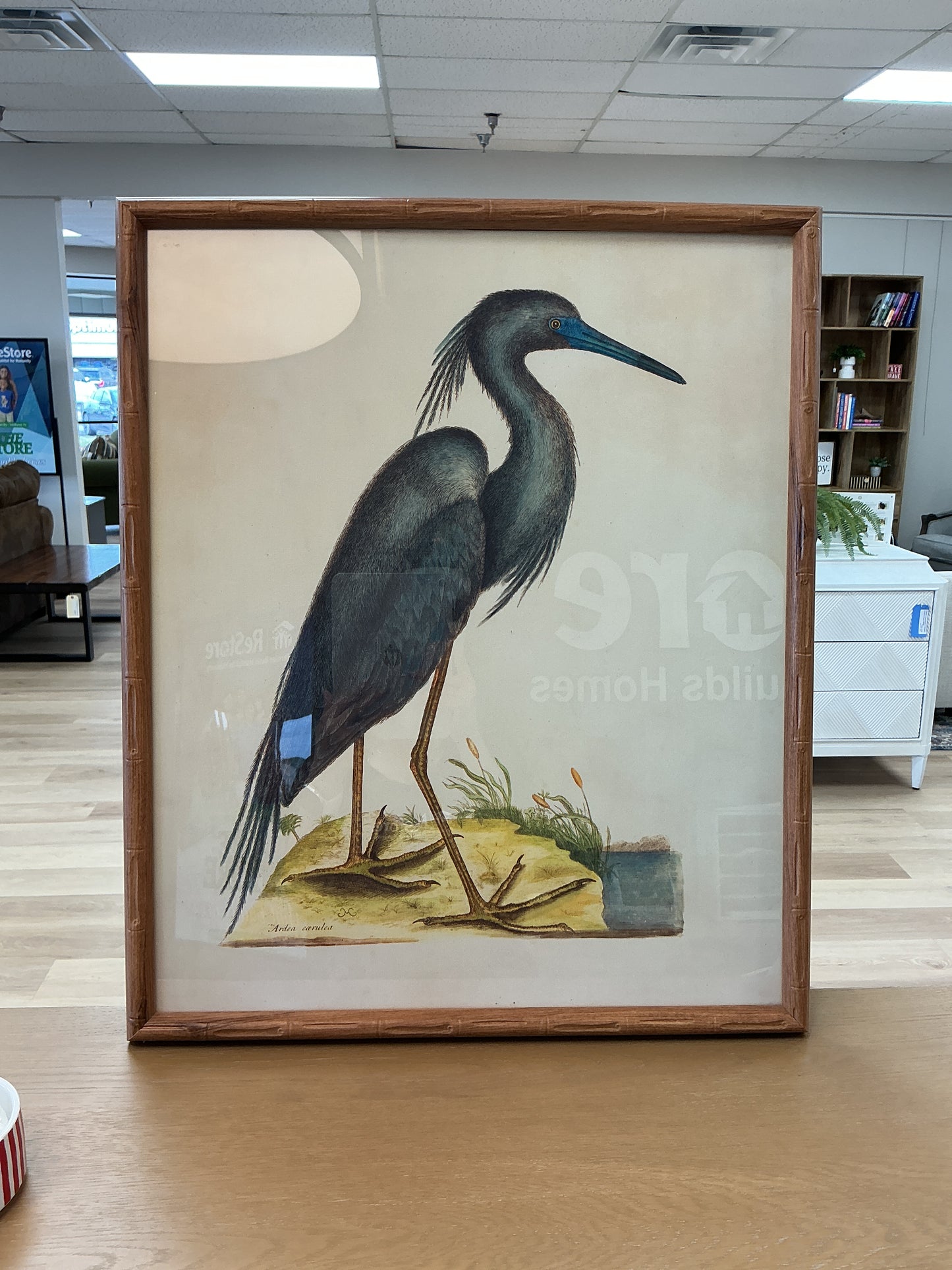 English Blue Heron Art Print