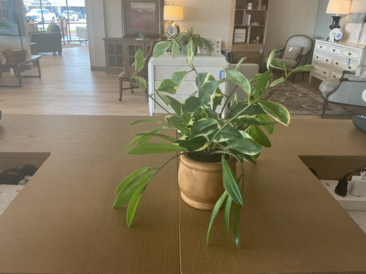 Faux Potted Plant in Wooden Container