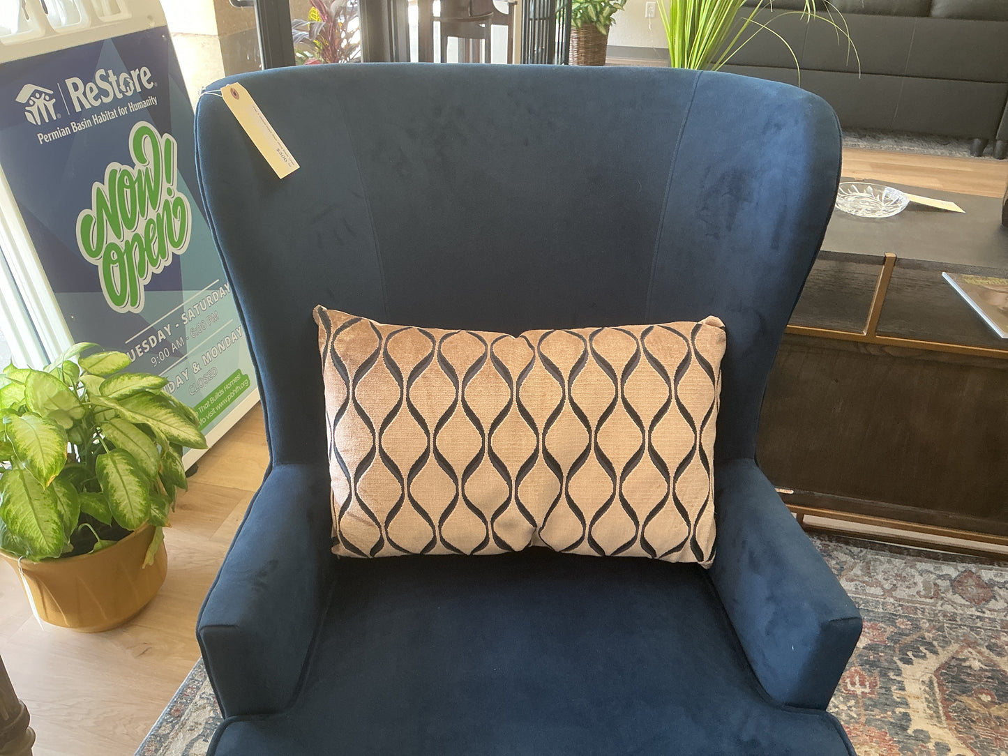 Decorative Lumbar Pillow w/Velvet Back