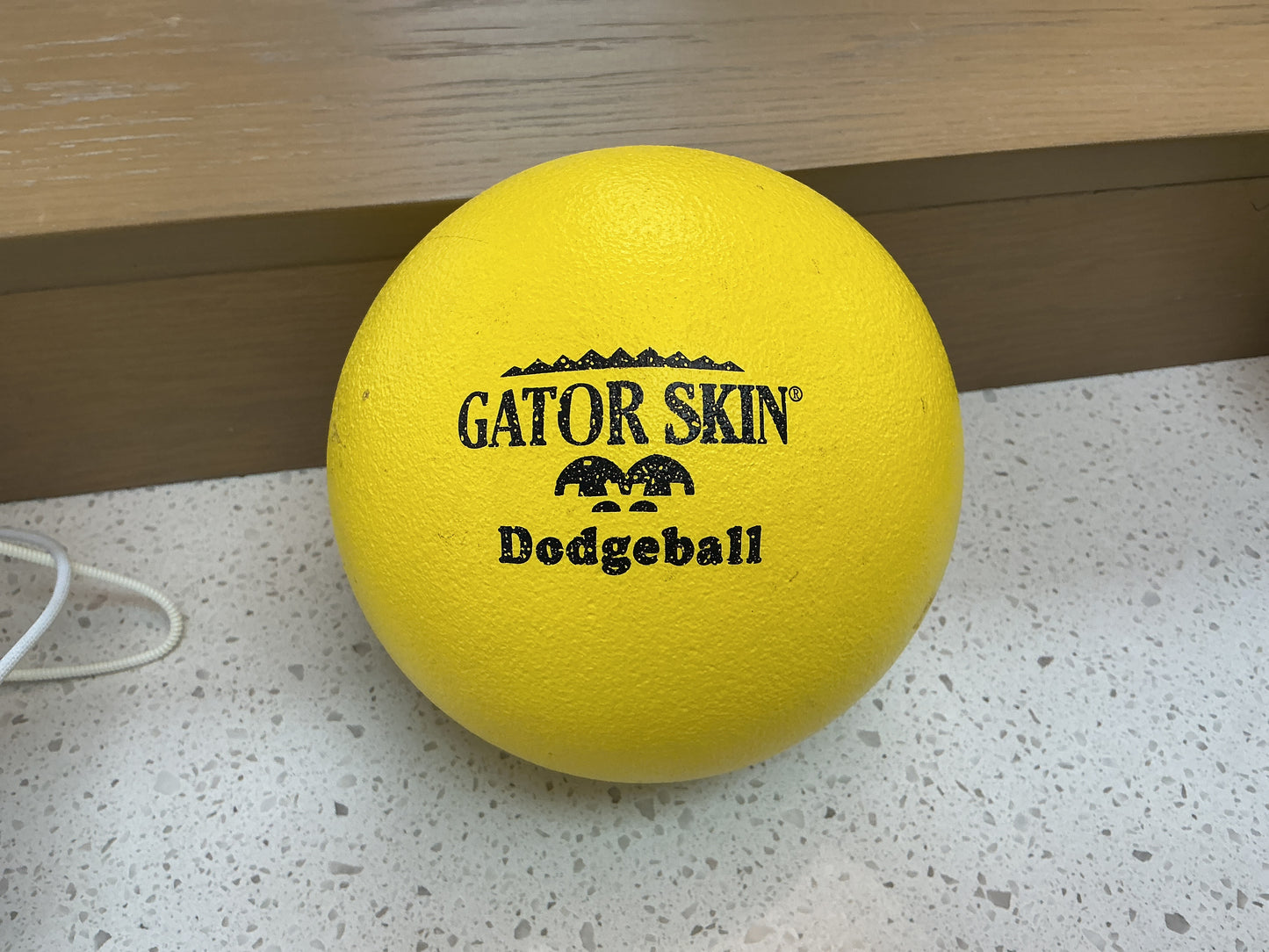 Gator Skin Dodgeball