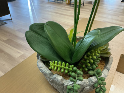 Real Touch Orchid Arrangement w/Ceramic Vase