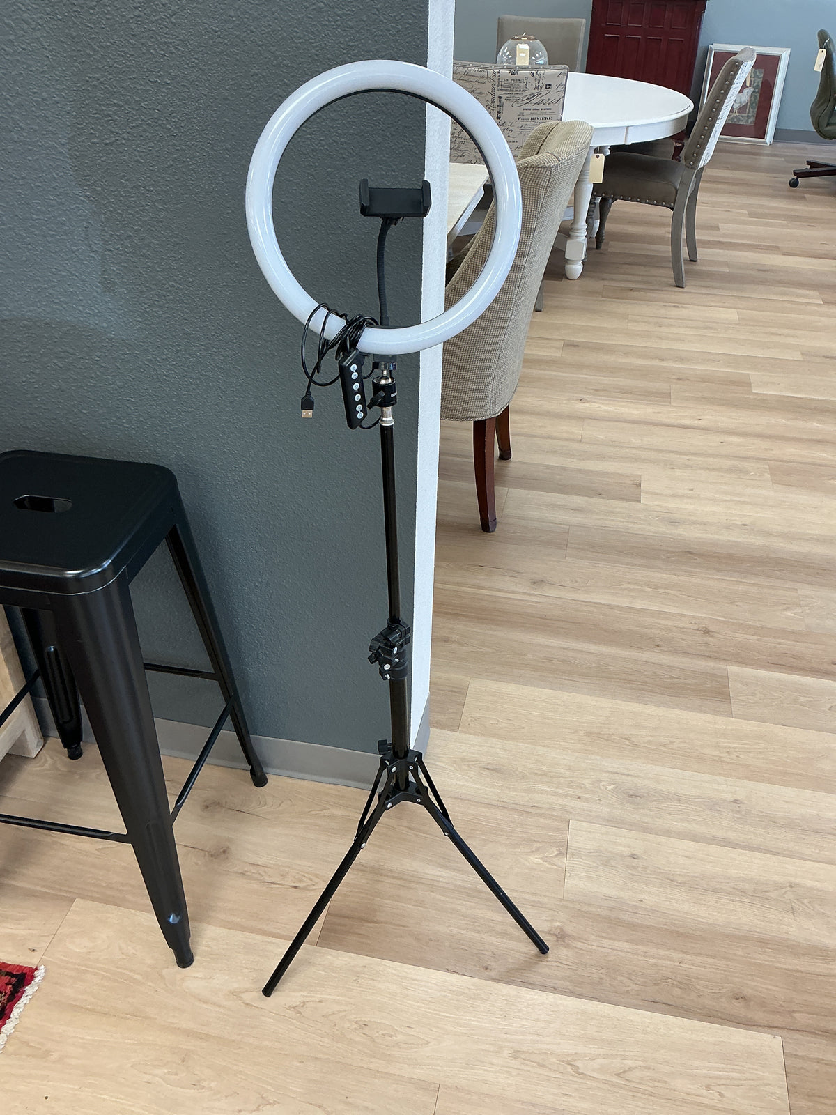 LED 12” Ring Light w/Stand