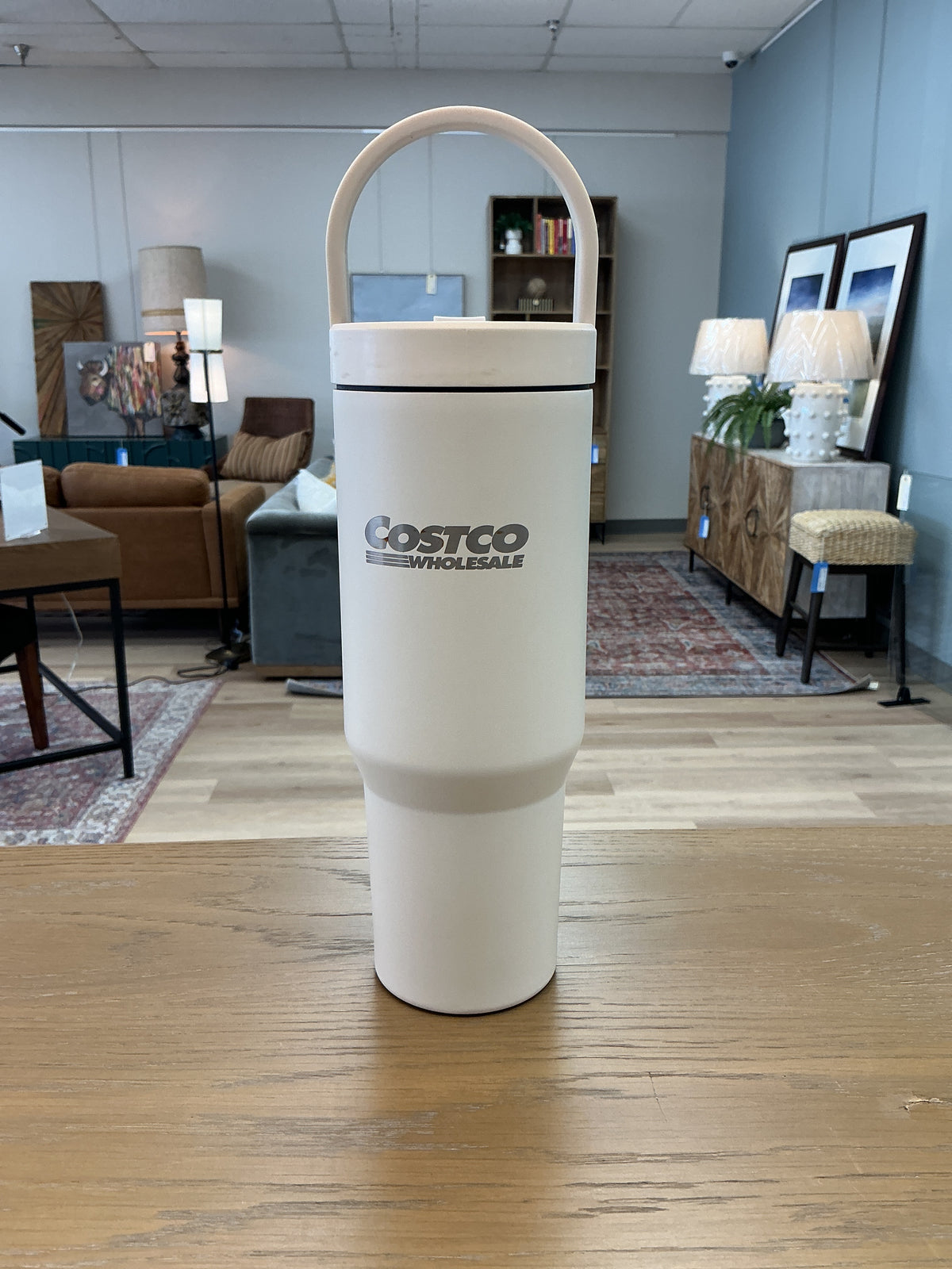 Insulated Water Bottle w/ Handle