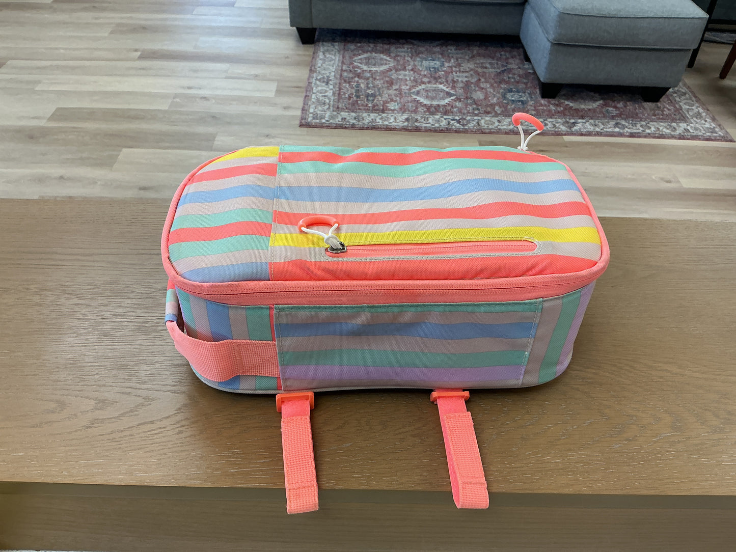 Multi-Color Striped insulated Lunch bag