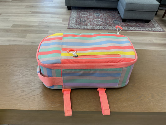 Multi-Color Striped insulated Lunch bag