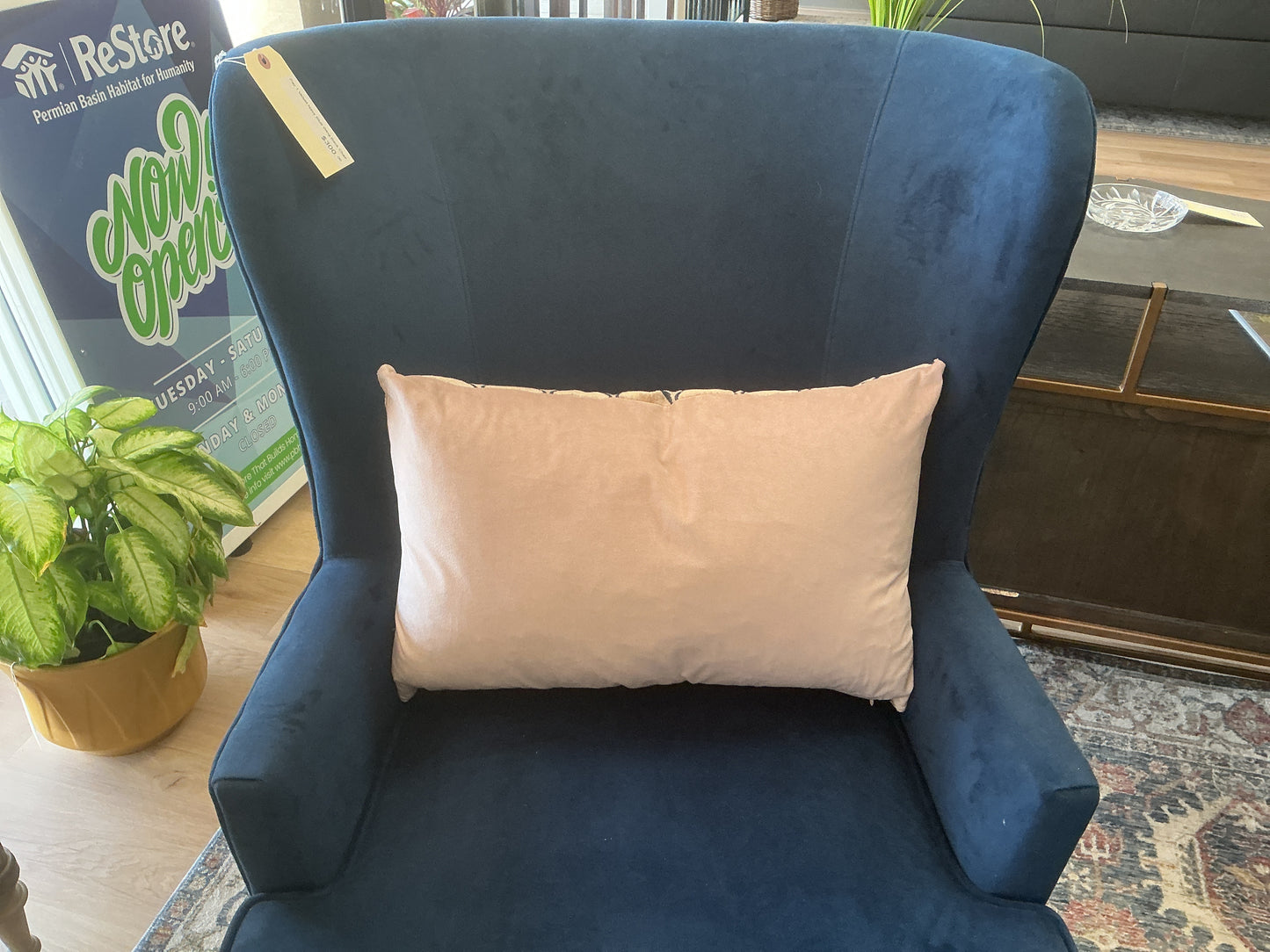 Decorative Lumbar Pillow w/Velvet Back