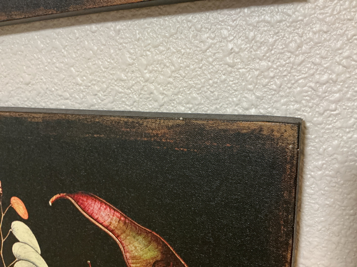 Canvas Botanical Prints ( Set of 2)
