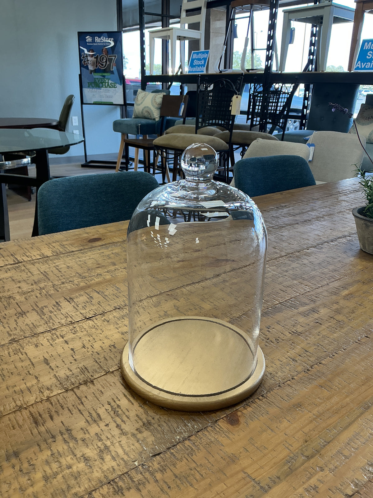 Glass Dome Cloche With Gold Base